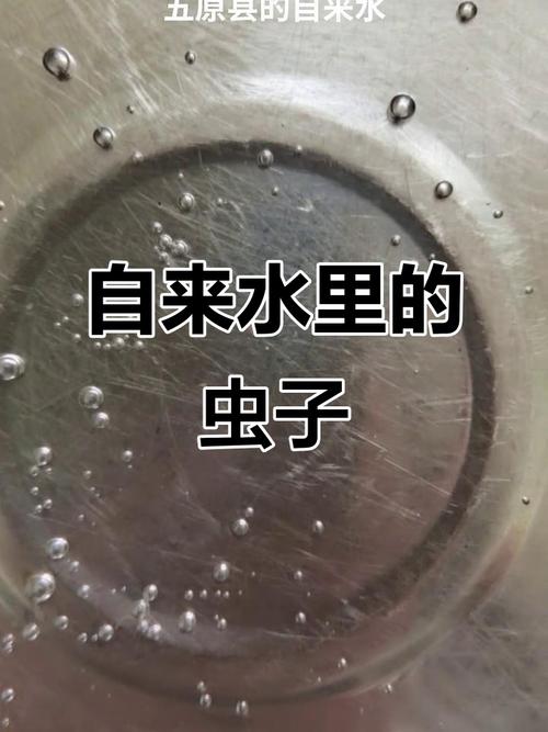 抖音上的虫子水龙头
