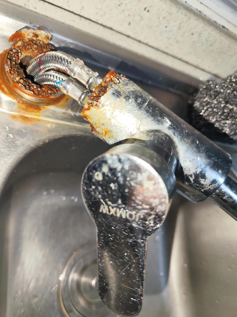 抖音上的虫子水龙头