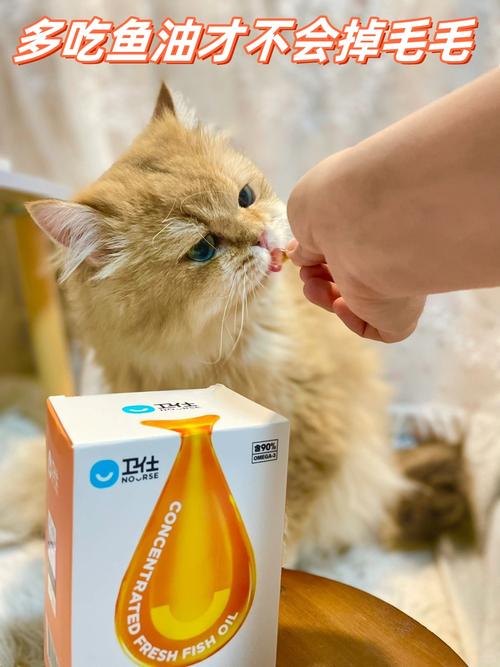 抖音猫图拿牙刷牙膏