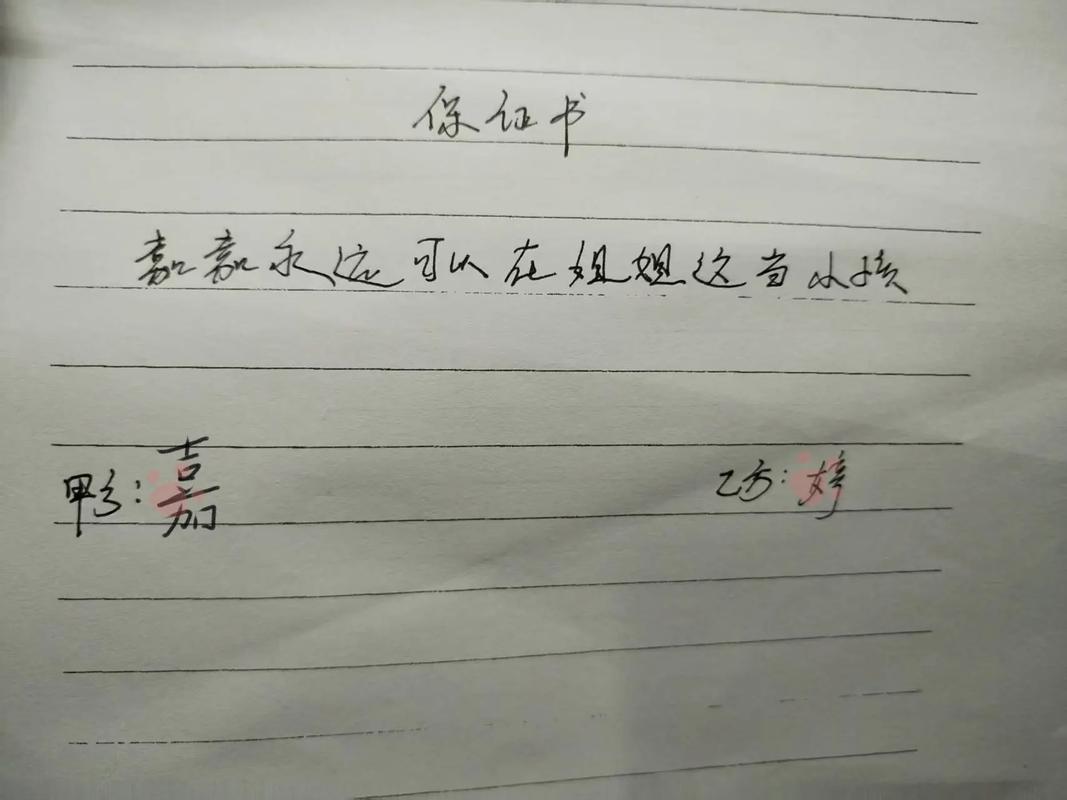 抖音同款保证书图片