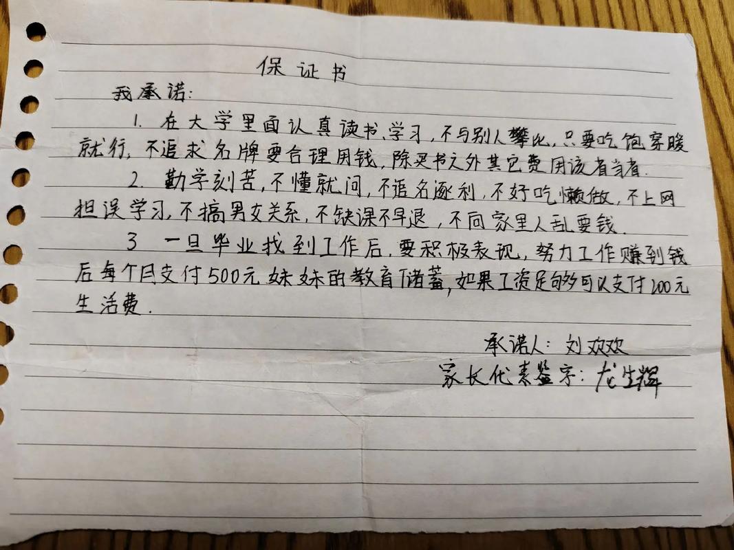 抖音同款保证书图片