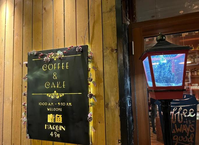 哈尔滨秒拍视频直播