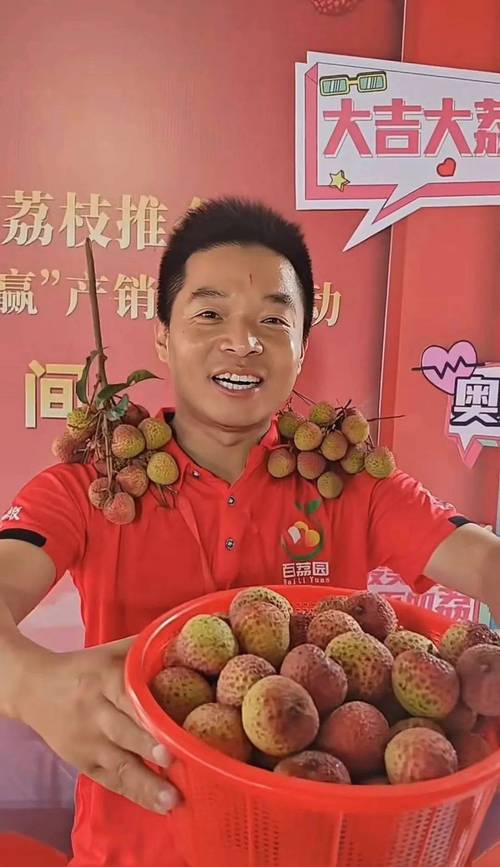 今天的阳江新闻直播