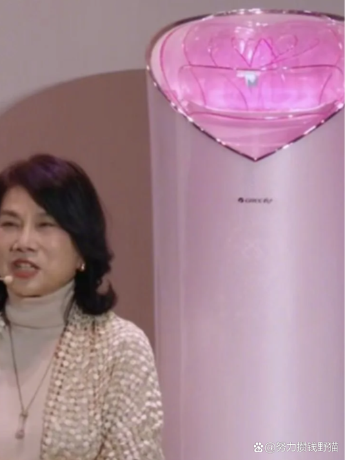 董明珠杜鹃直播视频