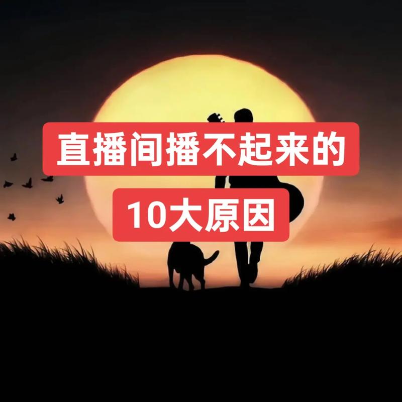 快手为什么直播不了