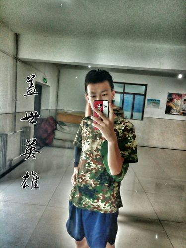 另类鹏为什么退出快手