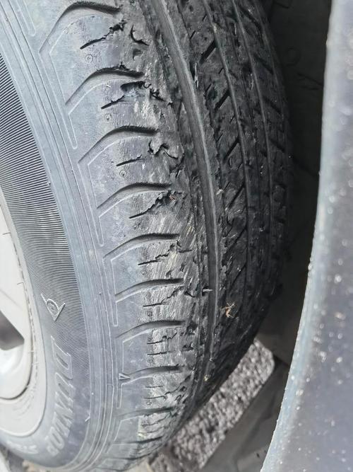 快手金毛轮胎相关视频