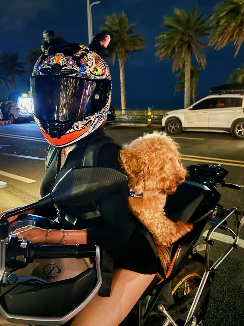 抖音同款狗狗摩托车