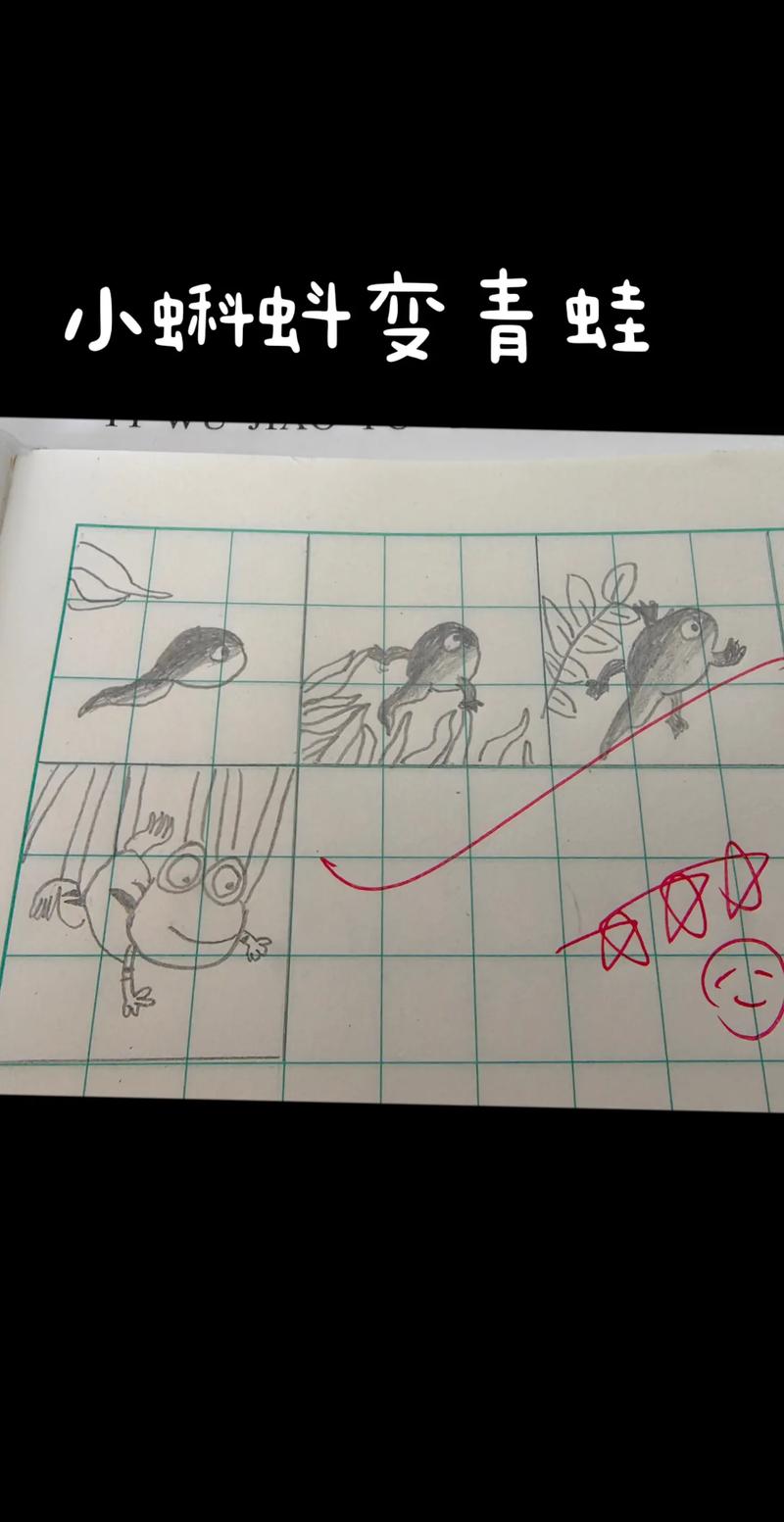 抖音上白板笔做蝌蚪