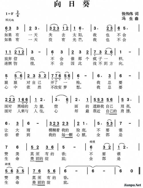 抖音向日葵里面的歌