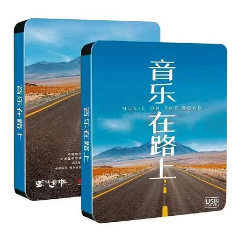 抖音音乐歌曲32g