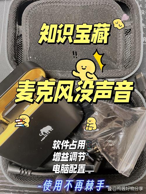 直播怎么没有声音呢