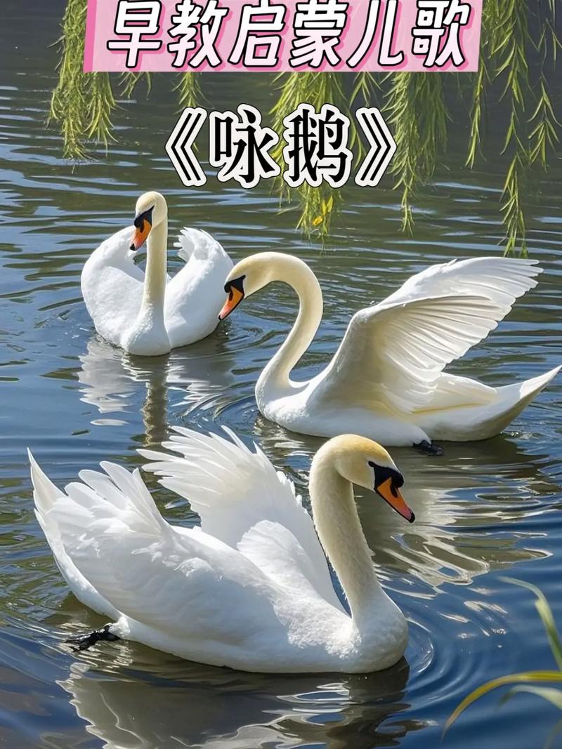抖音里大鹅舞的音乐