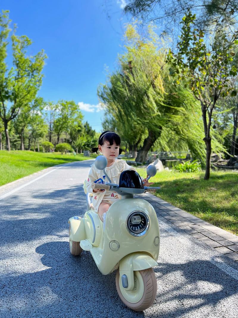 抖音同款亲子电瓶车
