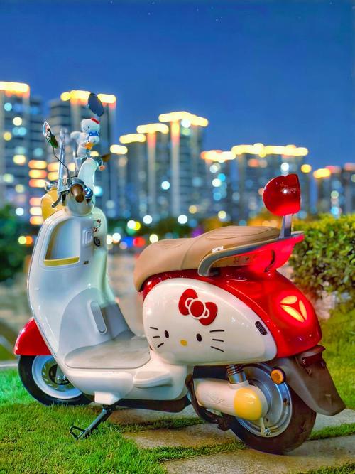 抖音同款亲子电瓶车