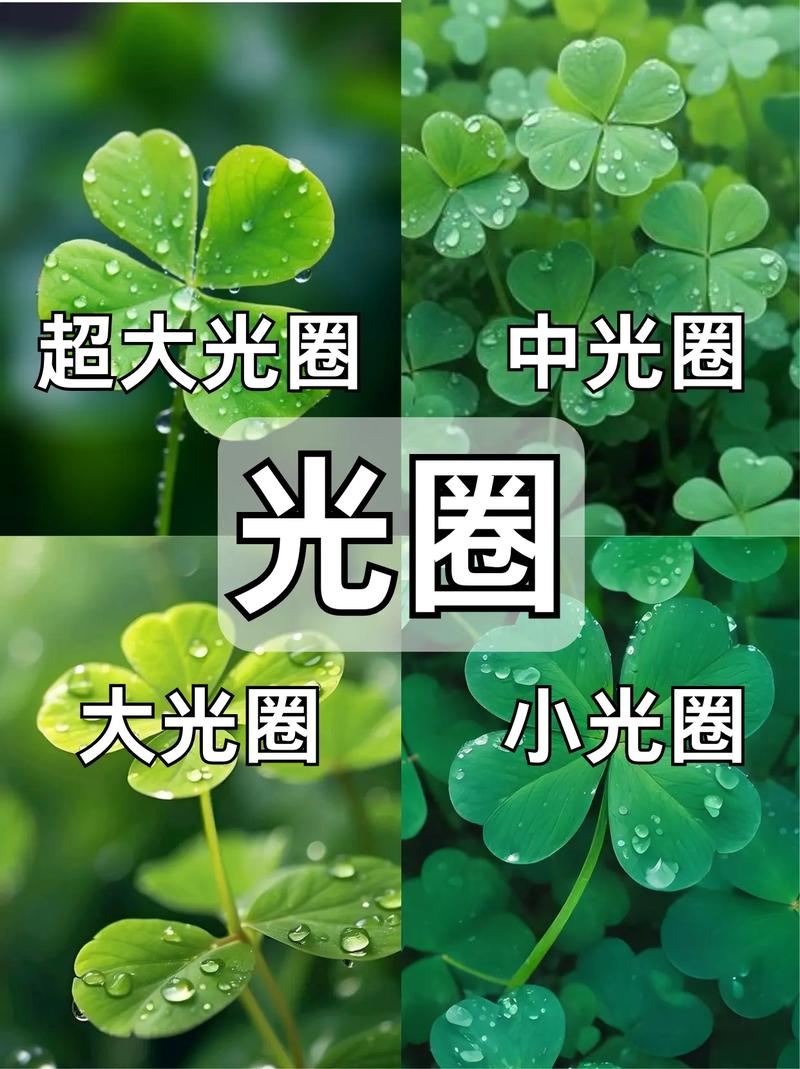 录抖音的光圈叫啥名