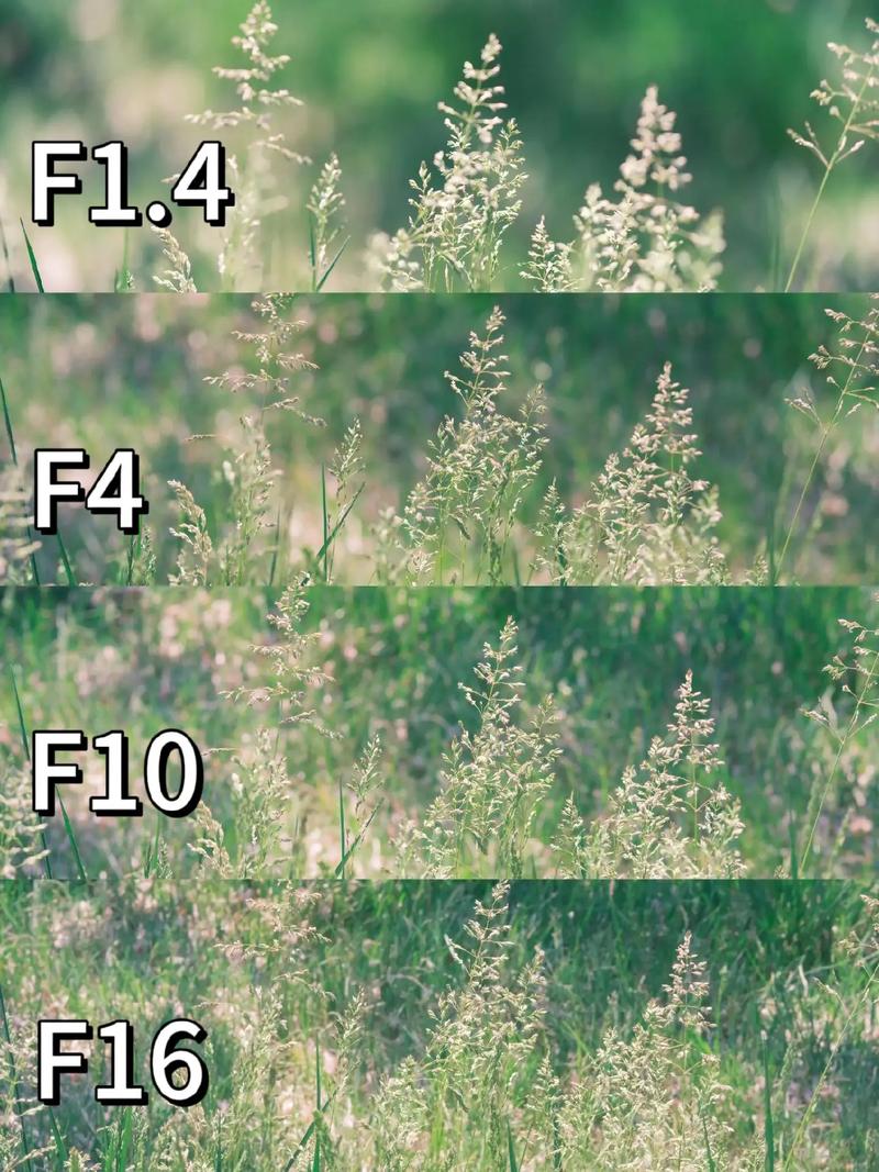 录抖音的光圈叫啥名