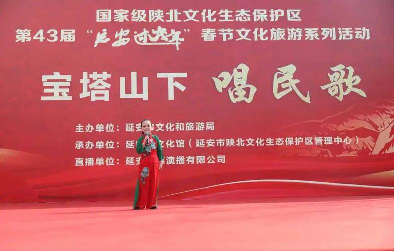 延安广播电视台直播