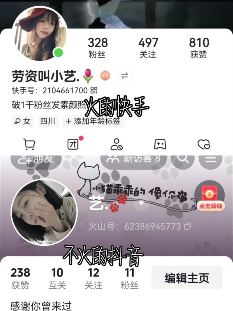 快手为什么天天掉粉丝