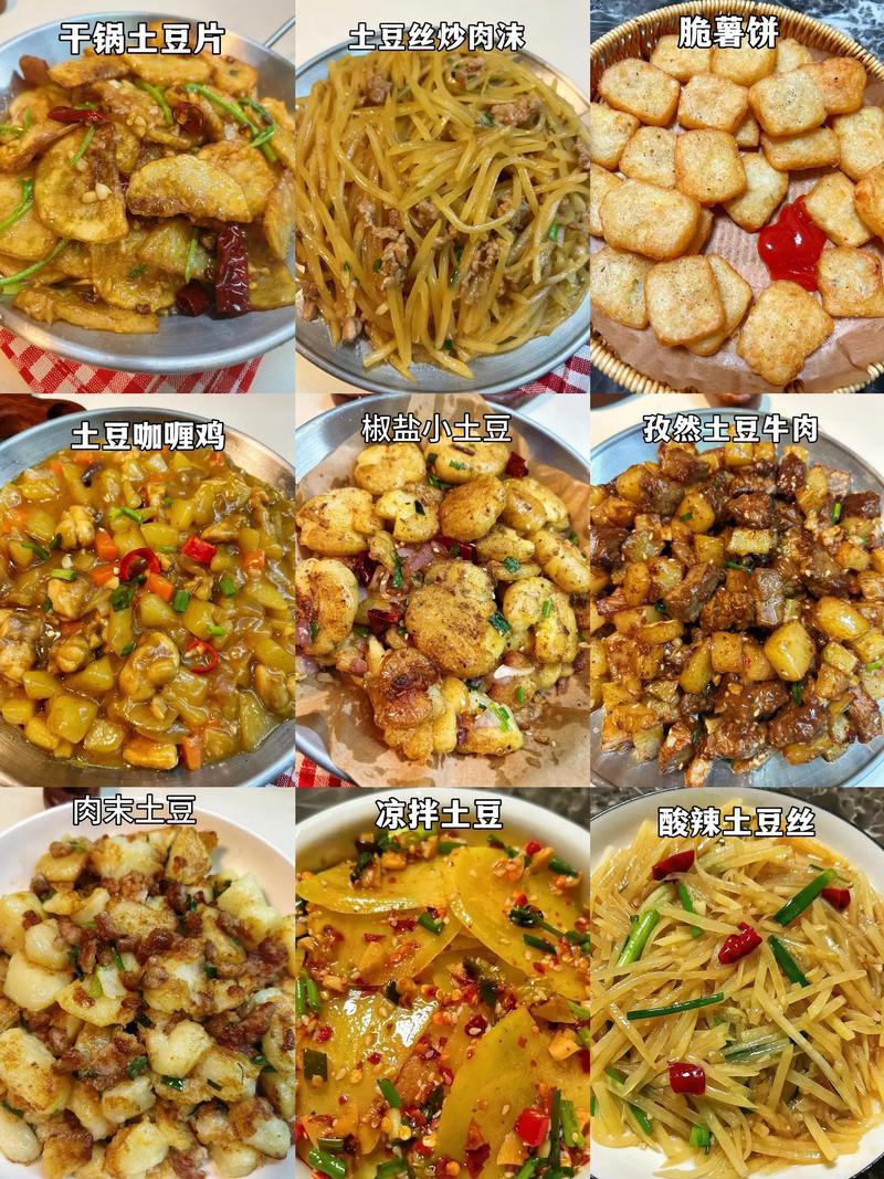 快手菜家常菜做法大全