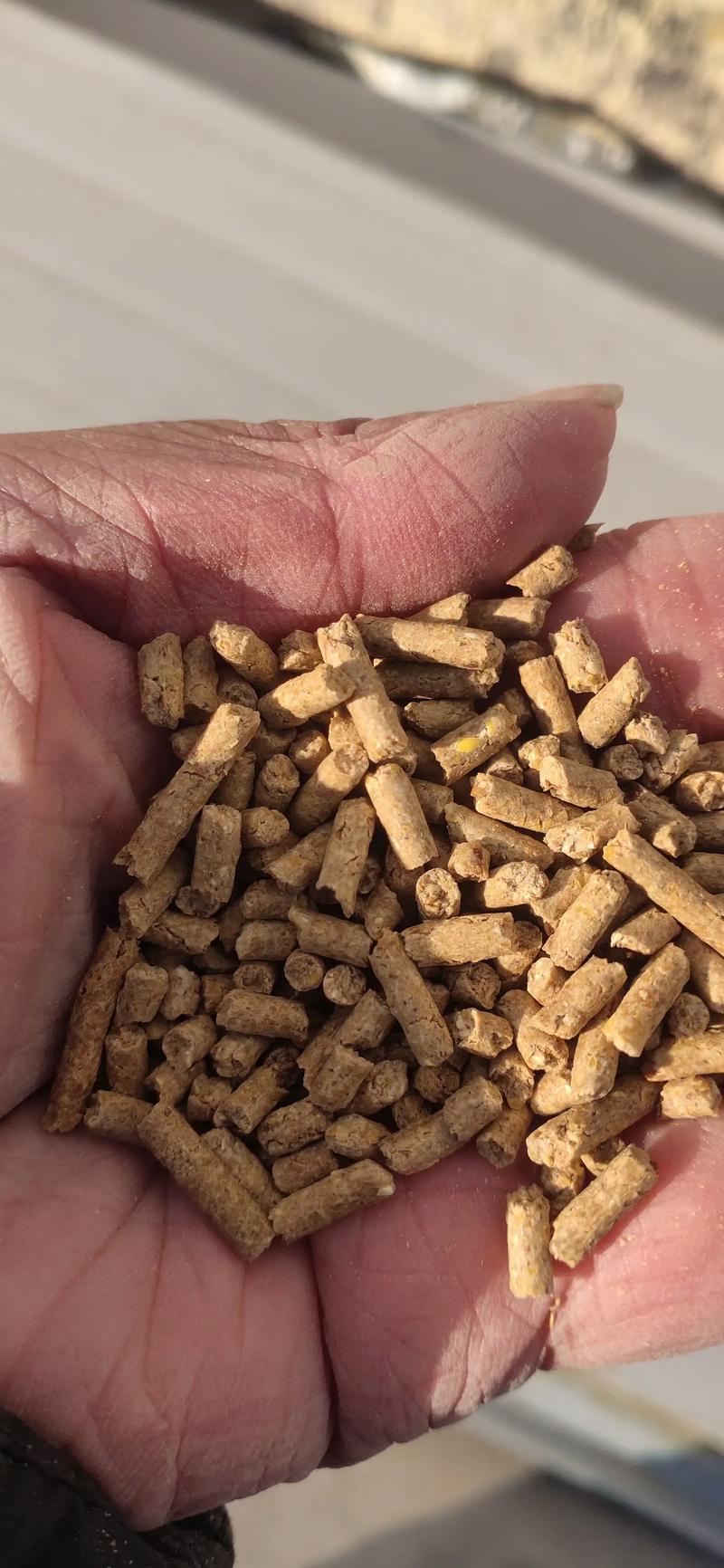 巨型抖音同款猪饲料