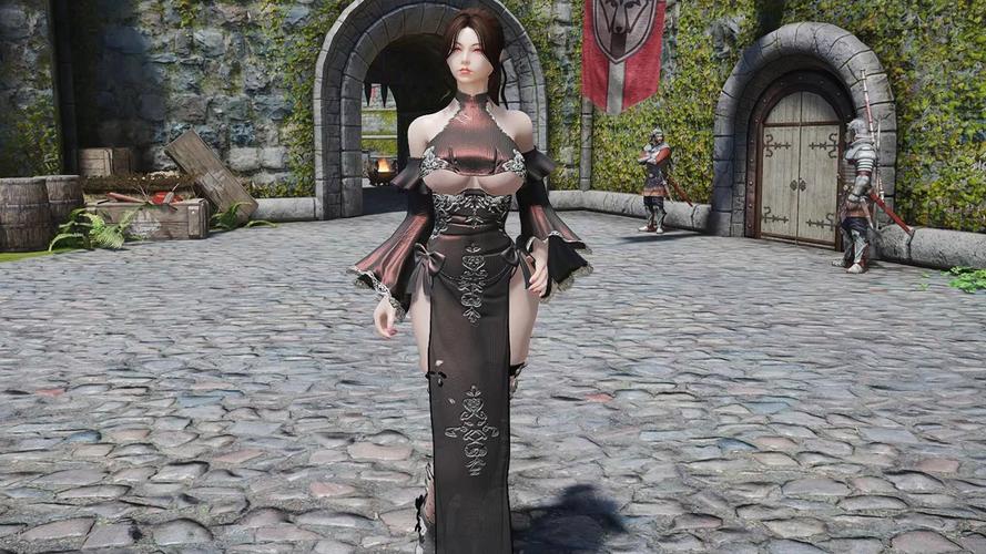 上古卷轴5驯码快手