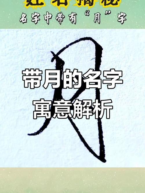 带月的快手名字大全