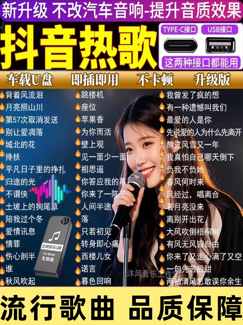 抖音u盘有什么歌曲