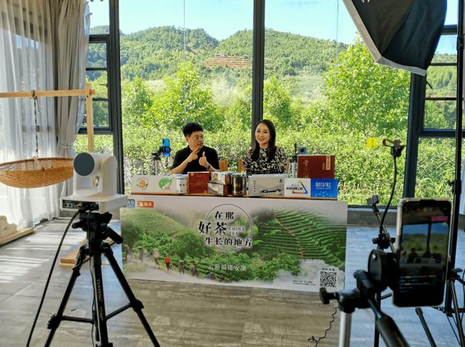 安溪电视台直播回放