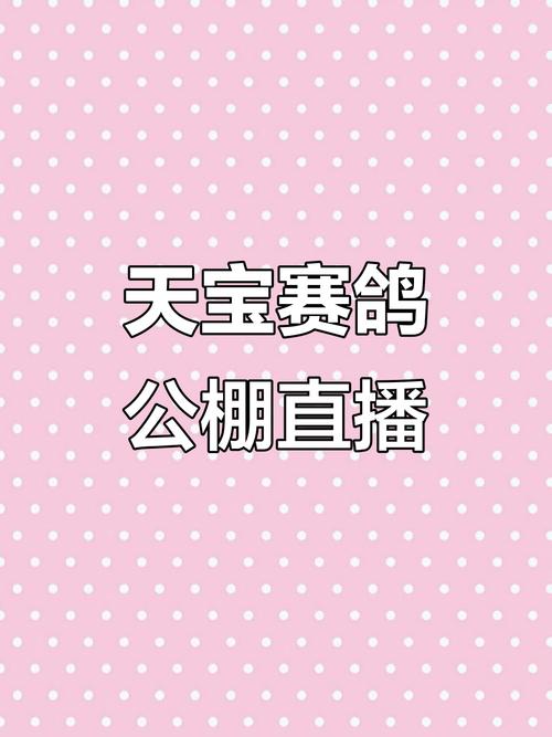 搜鸽网在线直播平台