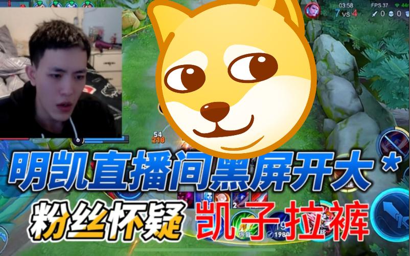 熊猫直播黑屏有声音