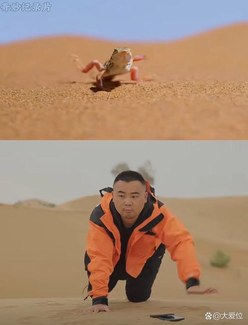 斗鱼直播之荒野求生