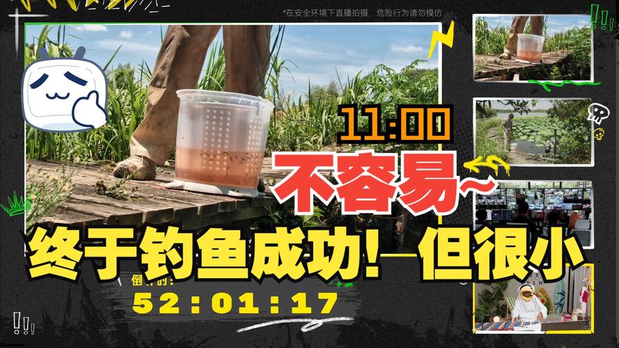 斗鱼直播之荒野求生