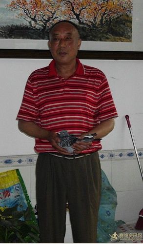 湘乡信鸽协会直播网