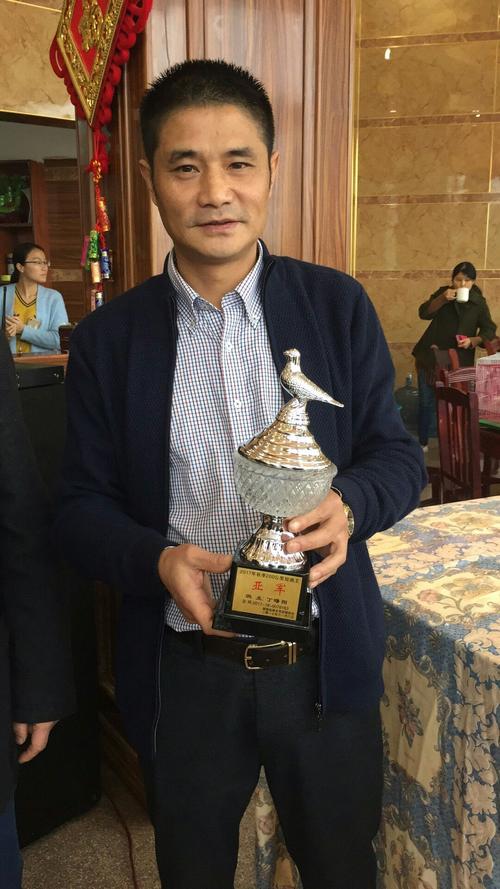 湘乡信鸽协会直播网