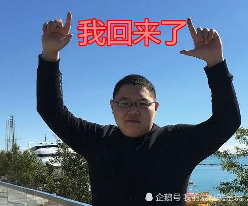 骚猪PDD在哪直播