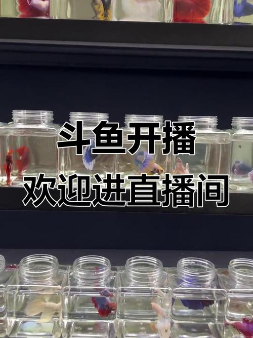 斗鱼直播可以抽烟吗