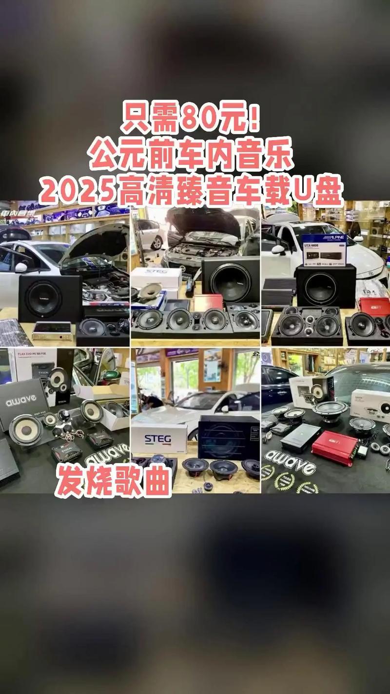 抖音里车内音响的歌