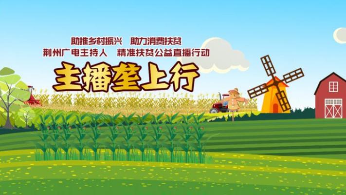 湖北荆州垄上行直播