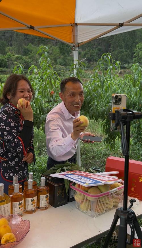 湖北荆州垄上行直播