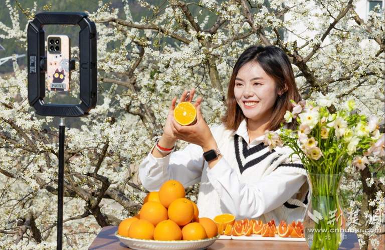 湖北荆州垄上行直播