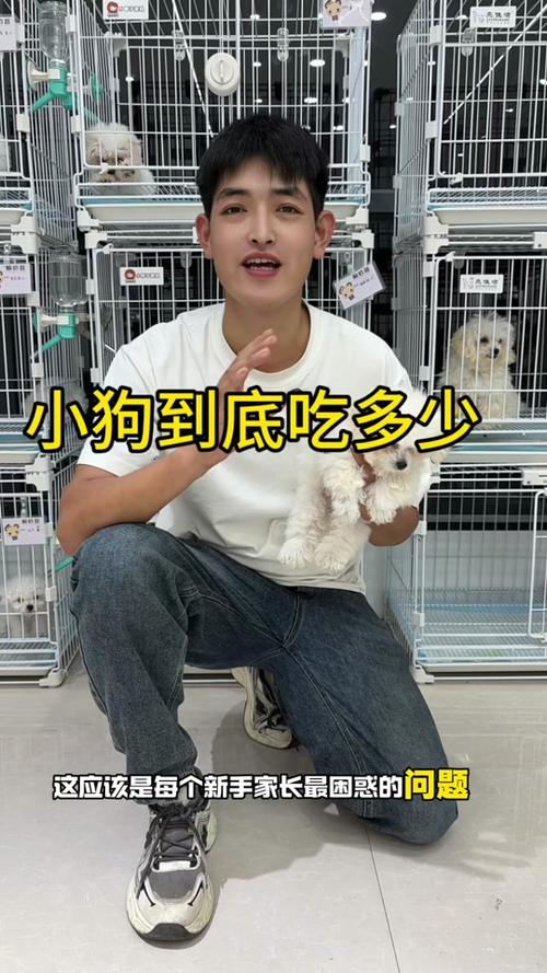叫馒头的小狗快手号