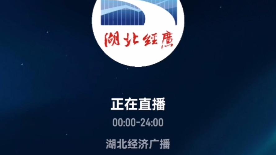 武汉电视台二套直播