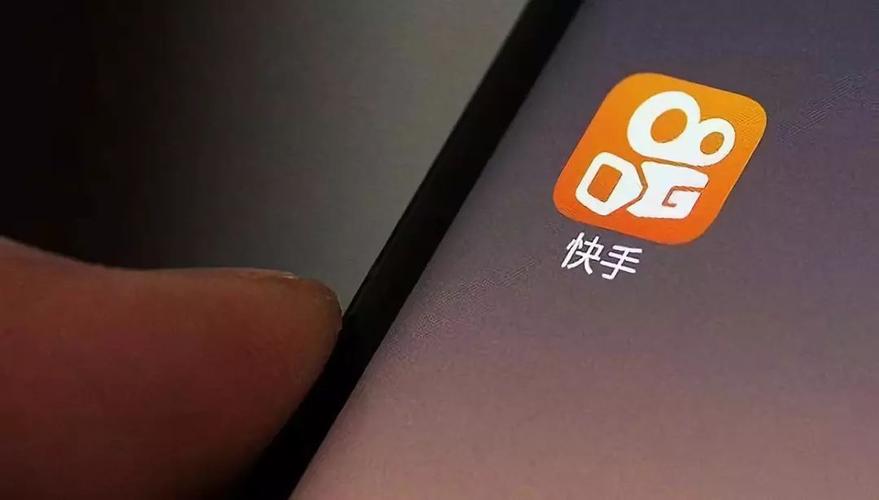 那个省玩快手的最多