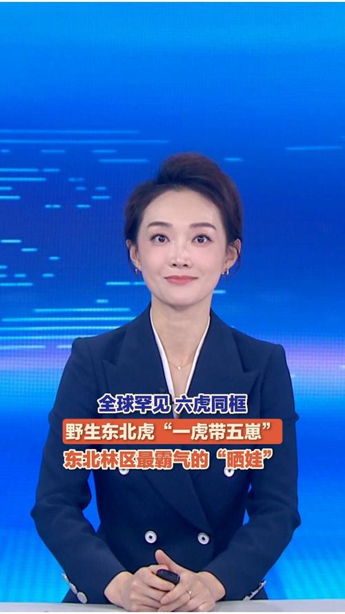 清河电视台在线直播