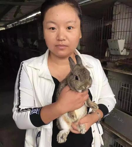 济南都市新女报直播