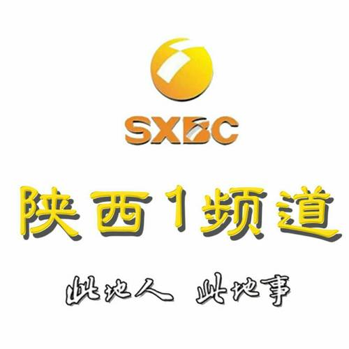 陕西电视台7套直播