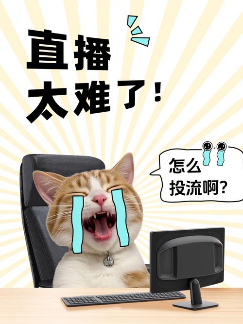 淘宝直播新人没人看