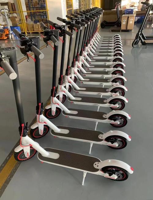 抖音滑板车教学视频