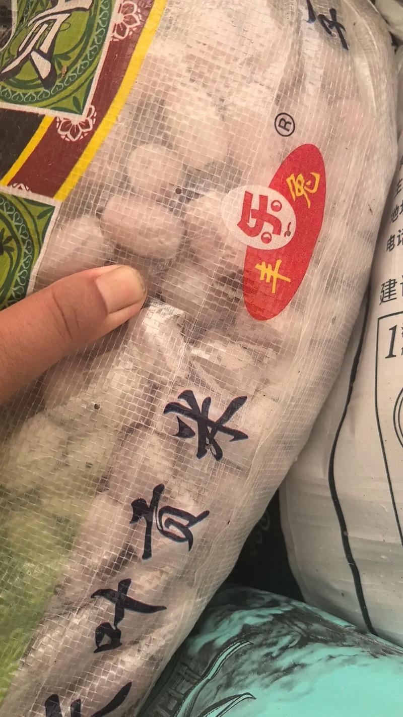 抖音上的水晶刮痧板